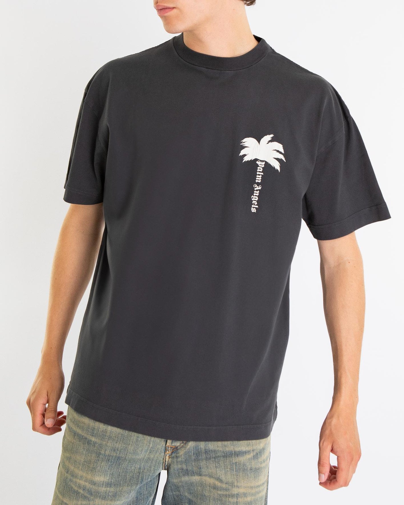 Heren The Palm T-Shirt Grijs